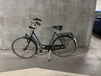 Gazelle Impala rower miejski