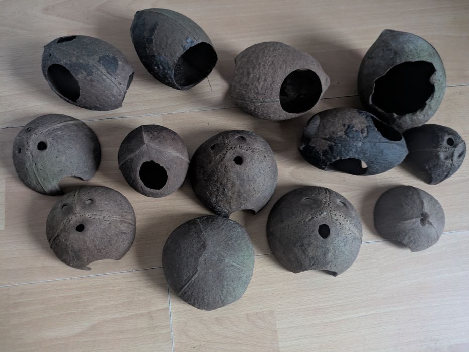 13 Kryjówek z kokosu - różne rodzaje