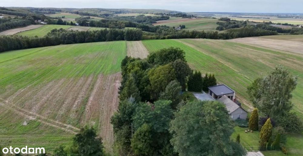 Działka rolno-budowlana, godzinę drogi od Krakowa 0,7 ha PRZYBYSŁAWICE