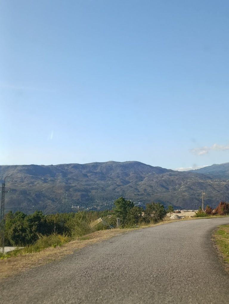 Limpeza de terrenos