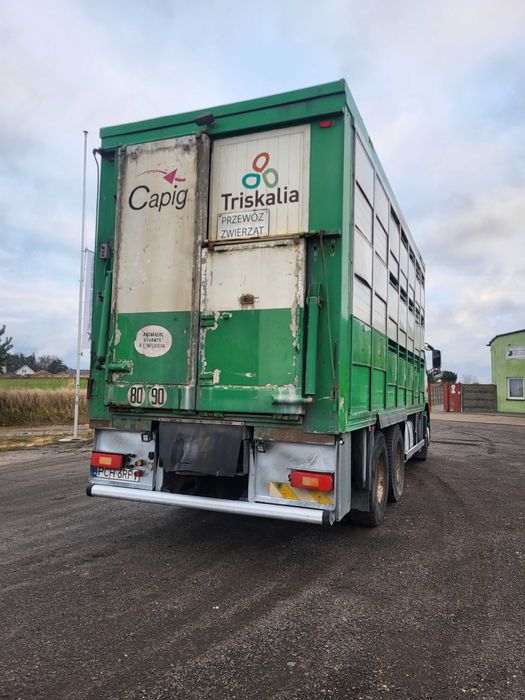 VOLVO FM do zwierząt żywca