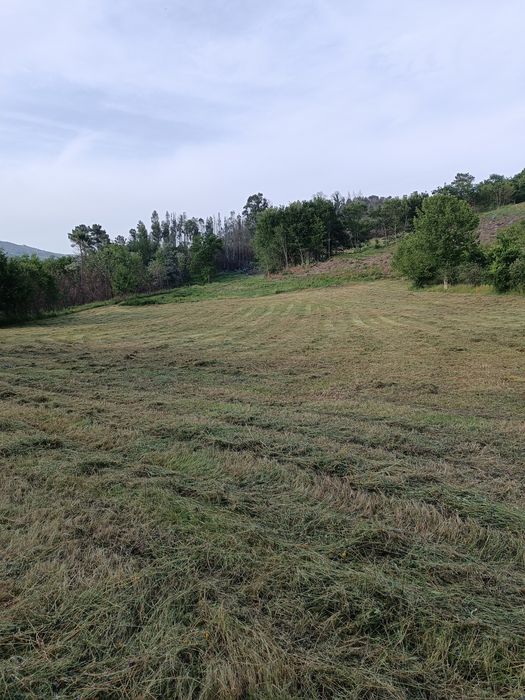 Limpeza de terrenos/jardins/trabalho de giratória/remoçã de entulhos