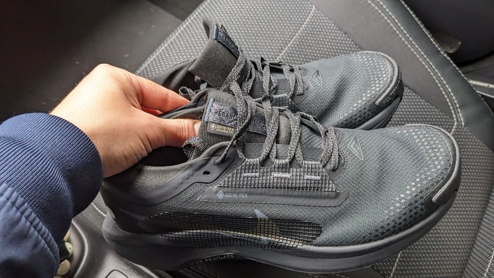 Нові Nike Pegasus Trail 5 Gore-Tex