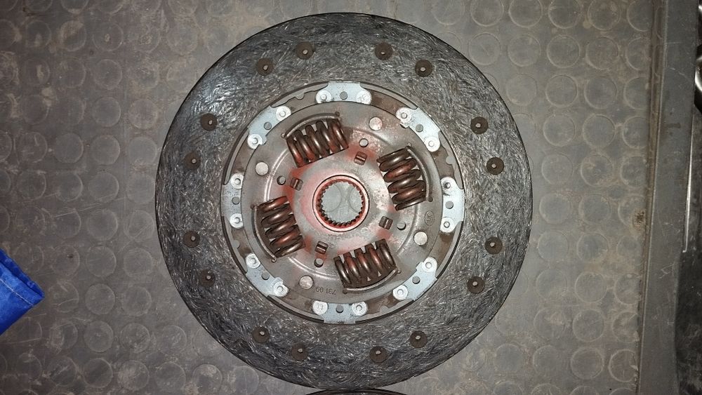 Щеплення на Віто 639