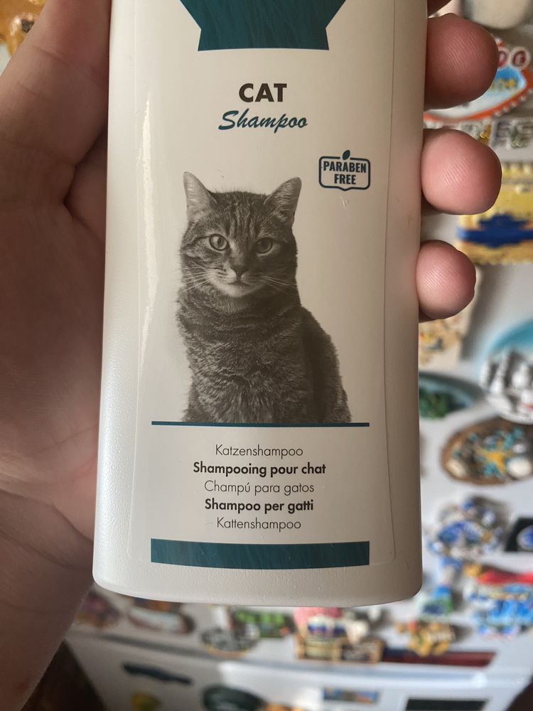 Шампунь для кошек и котят