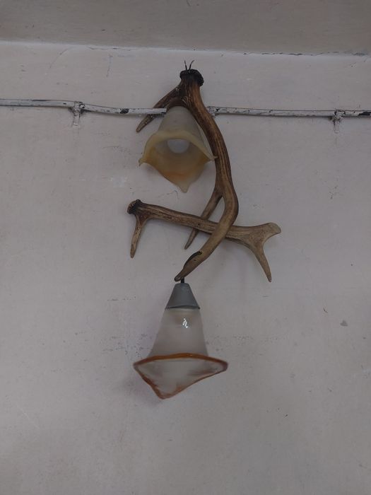 Lampa z poroży jelenia