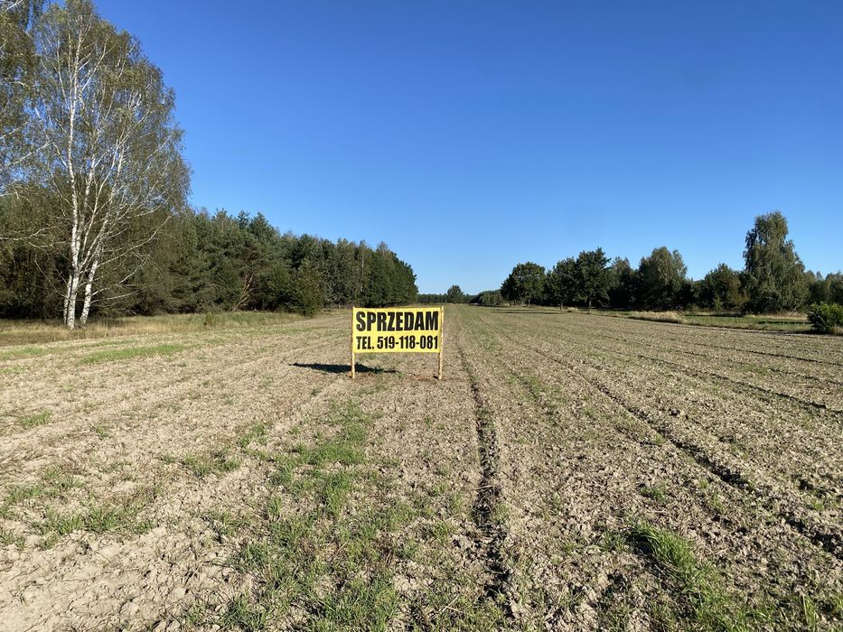 Działka rolna 1,52 ha Sobolew