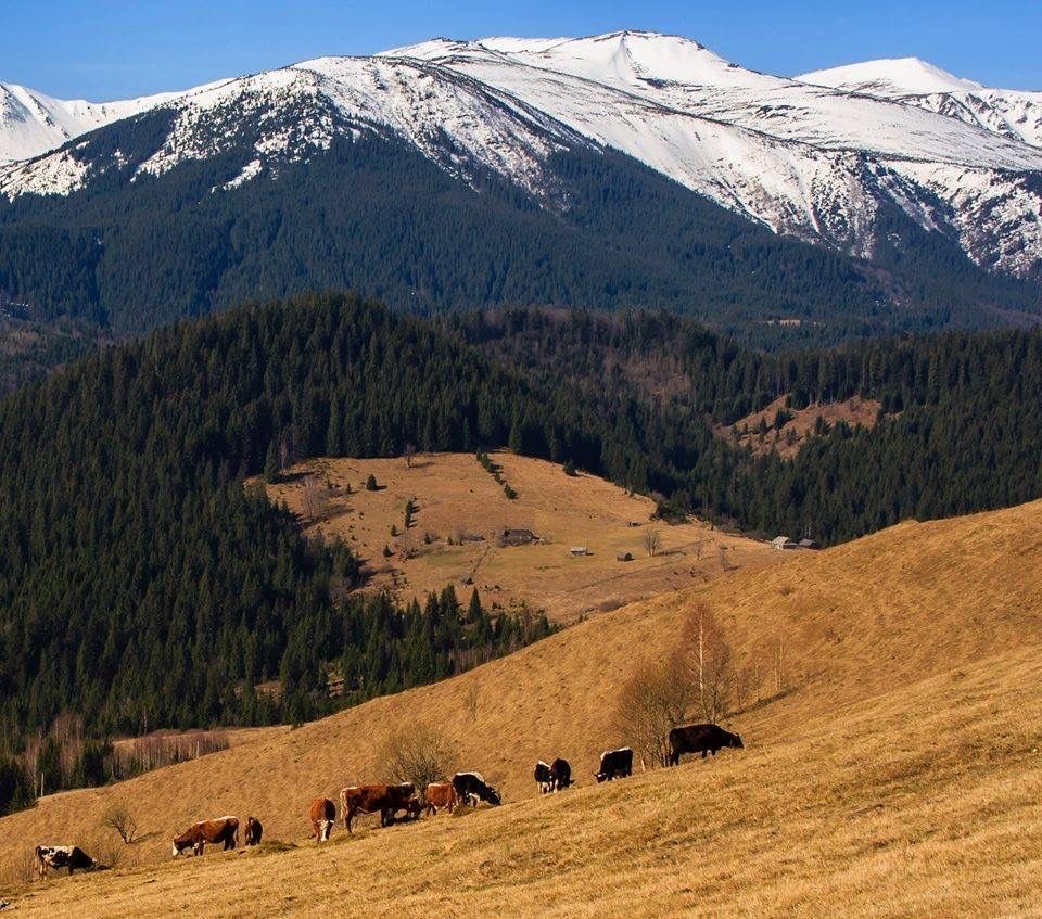 Земельна ділянка