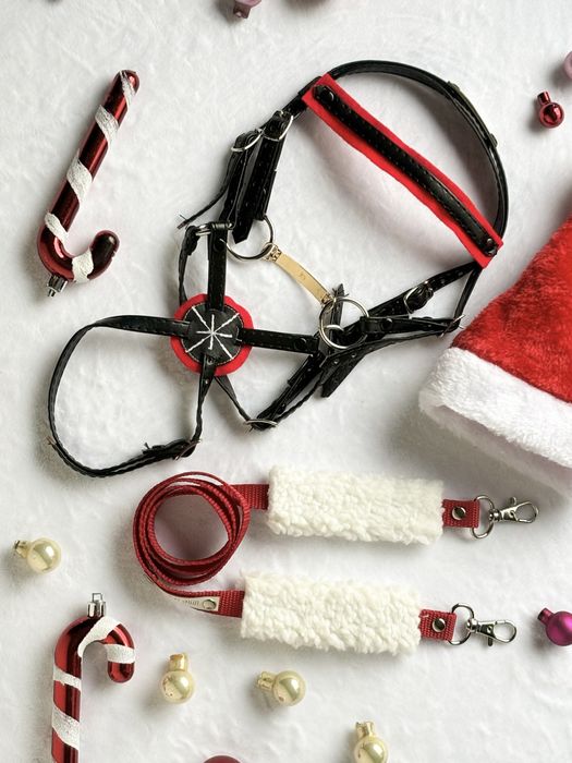 Littlehorses - Zestaw świąteczny z ogłowiem dla Hobby Horse