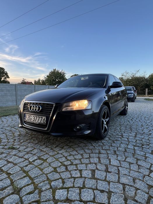 Audi A3 8p polift