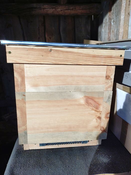 Ul wielkopolski jednościenny