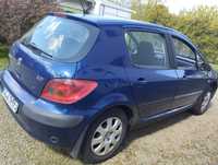 Peugeot 307 1.6 xs