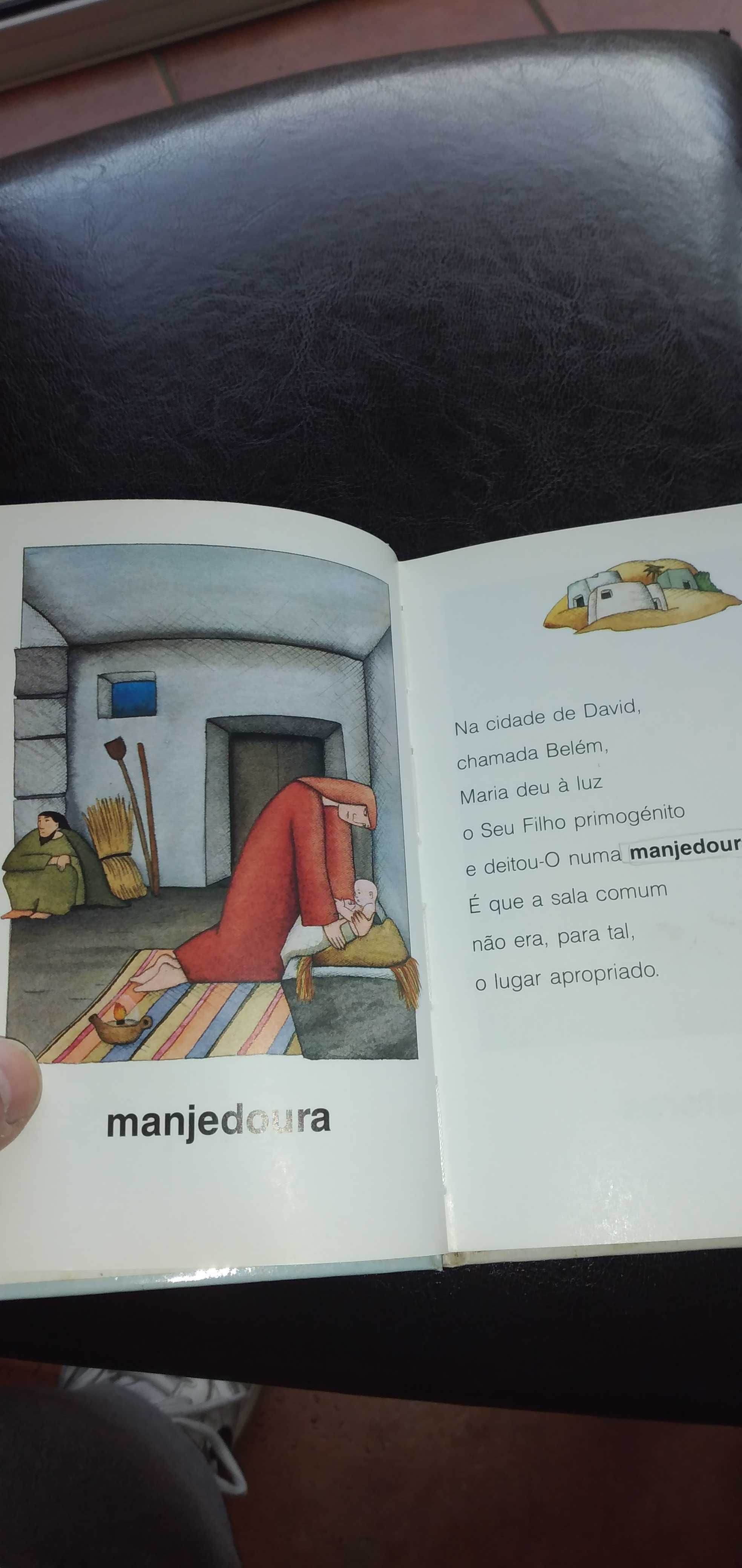 Livro " A minha primeira Bíblia ilustrada"