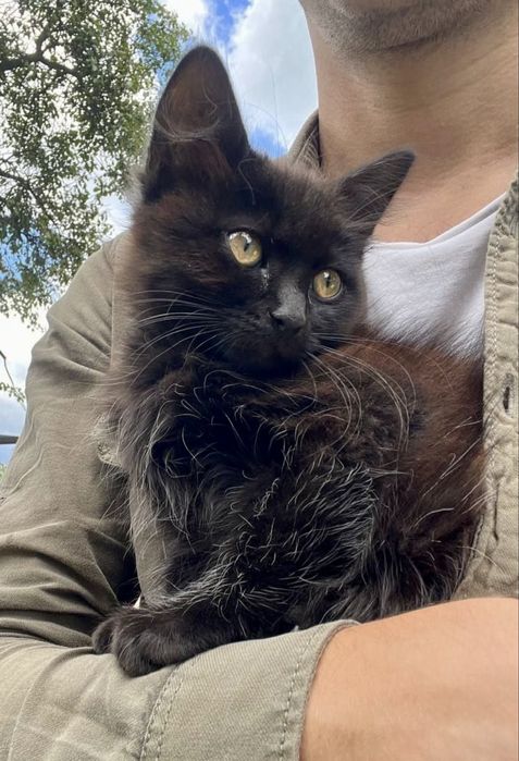 Хлопчик 4 місяці, в добрі руки.