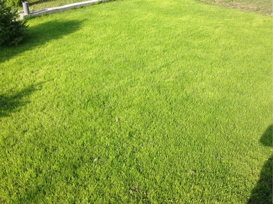 Kompleksowe uslugi ogrodnicze