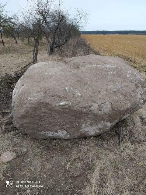 Oddam za darmo duży głaz