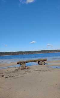 DOMek całoroczny do wynajęcia Mazury