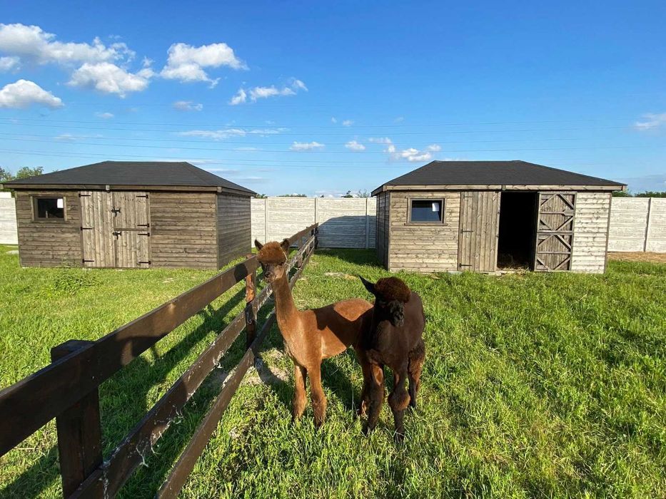 Domek dla KONI / ALPAK 3m x 5m - PRODUCENT