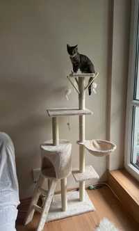 Drapak dla kota 5 poziomów wysoki beżowy 139cm legowisko *NOWY*