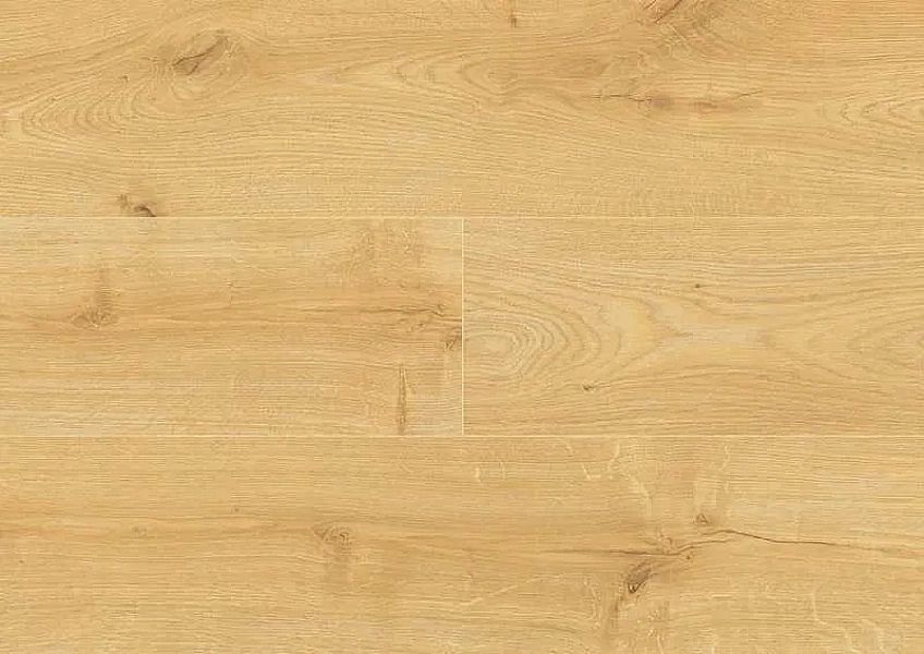 Panele podłogowe laminowane Outlet SWISS KRONO Dąb Virgo D4571 AC5/8mm