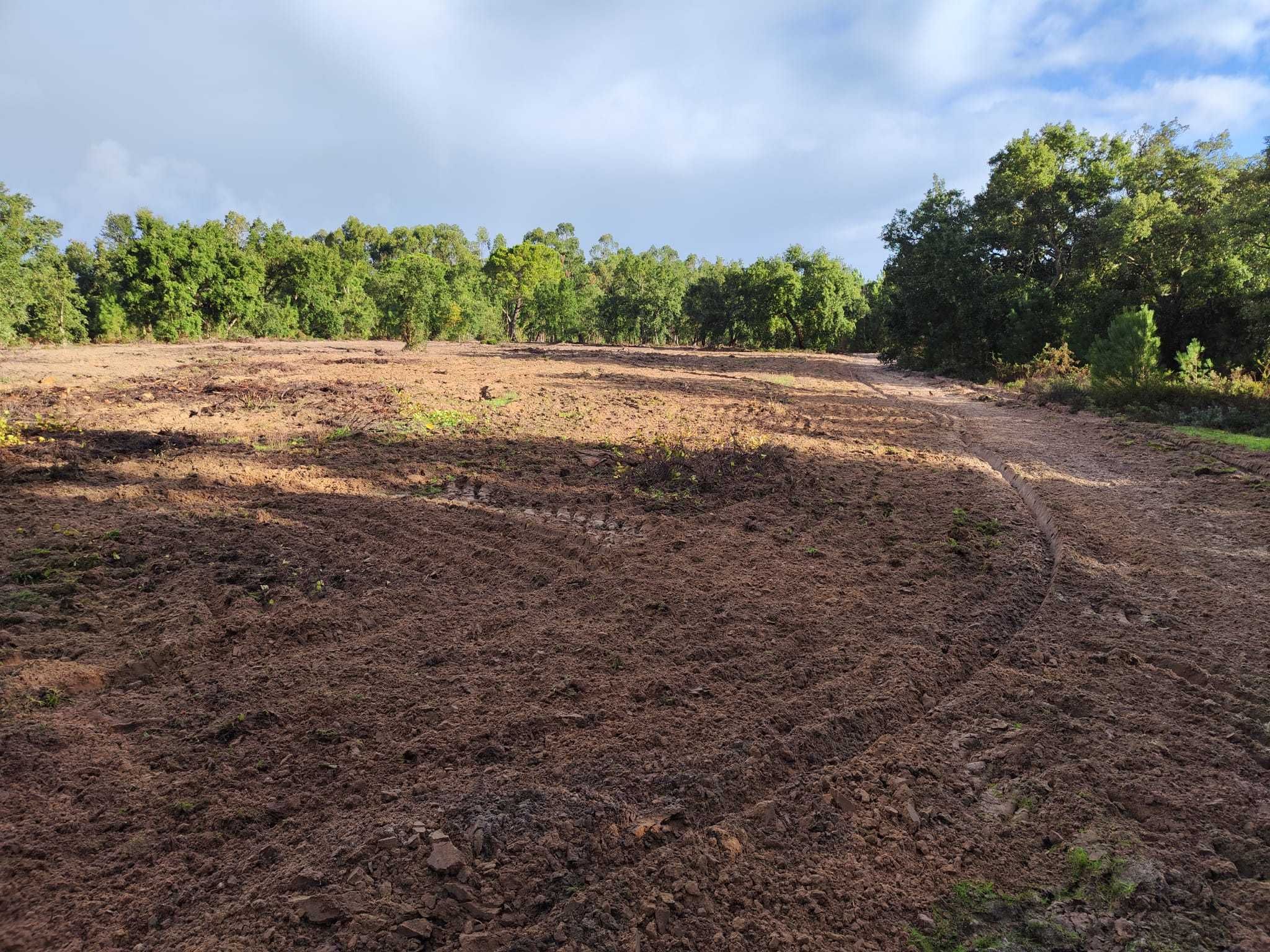 Terreno Agricola 20000m2 Vila Chã de Ourique