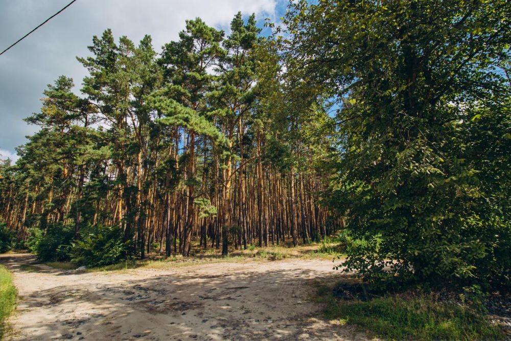 Стиль МОДЕРН. Якість ТОП. Вид на ЛІС
