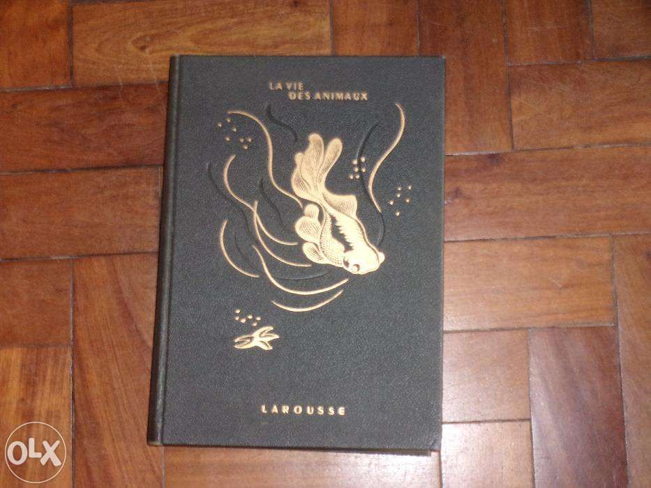 Livros antigos em francês