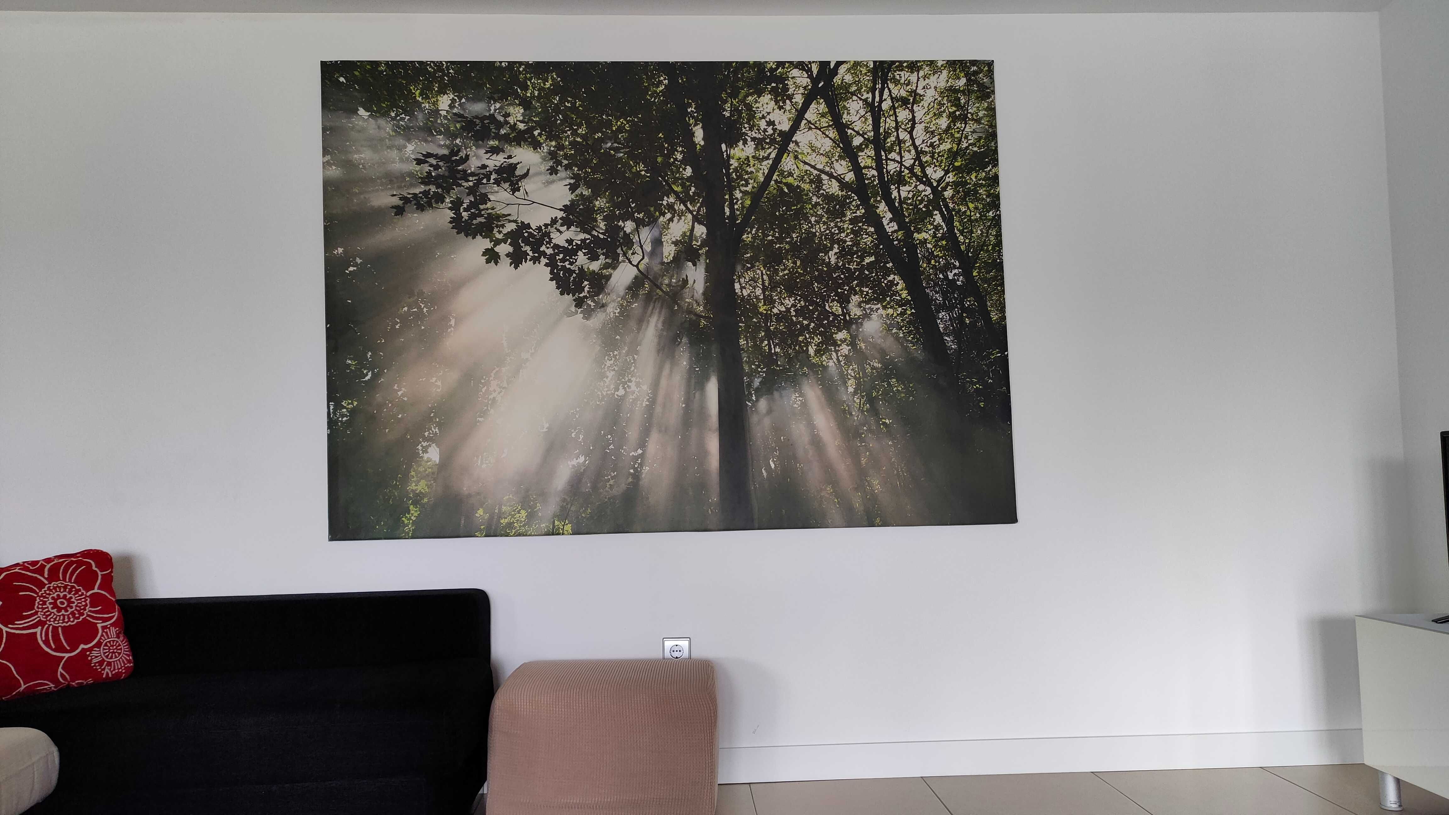 Quadro de fotografia em tela, dimensão 200cm X 140cm, Natureza