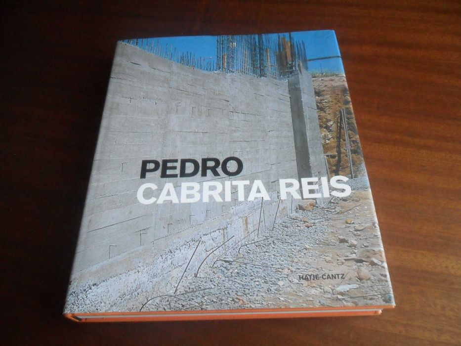 "Pedro Cabrita Reis" de Vários - 1ª Edição de 2003 - Livro em Inglês