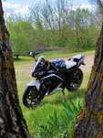 Продам Mustang mt 200-10 торг присутній