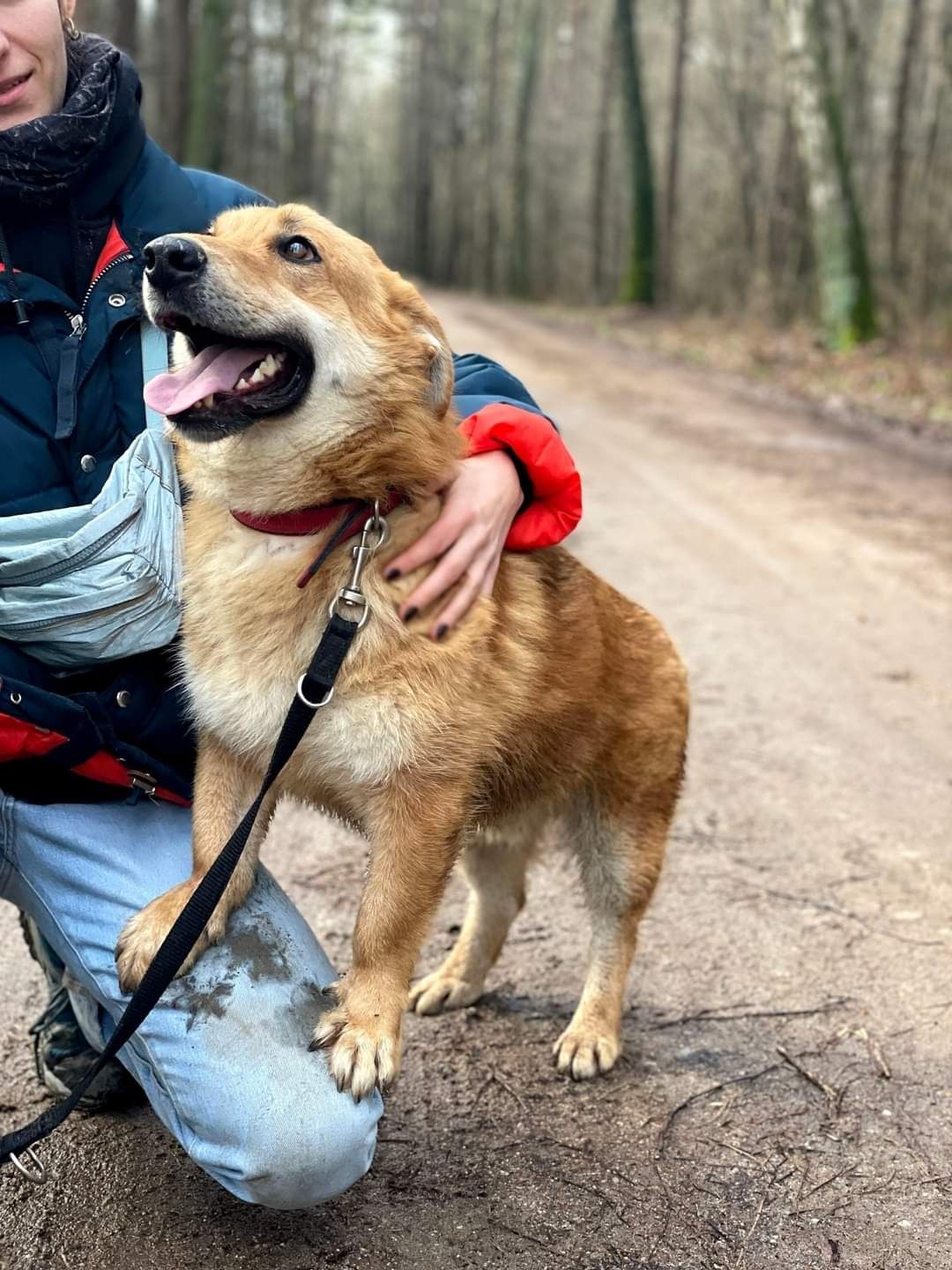 Przeuroczy Wacek do adopcji