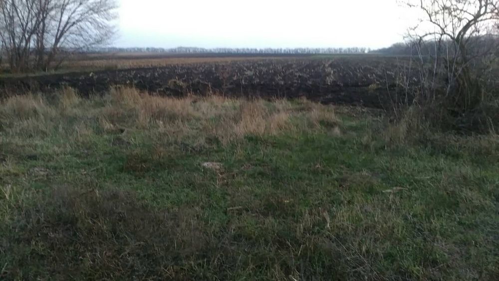 Земельна ділянка с.Бориси