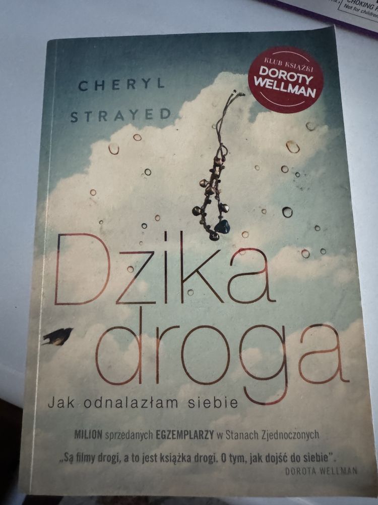 Cheryl Strayed Dzika Droga