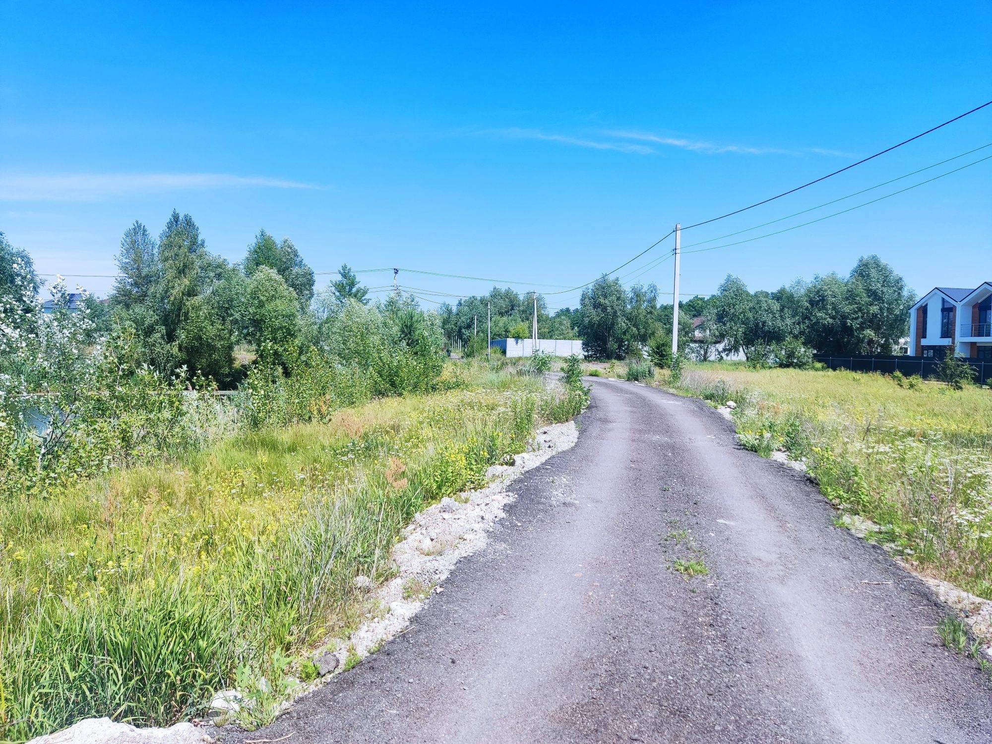 Участок с Гнедин на берегу озера 12 соток вид на лес