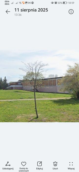 Wynajmę garaż na Osiedlu Zawiszów