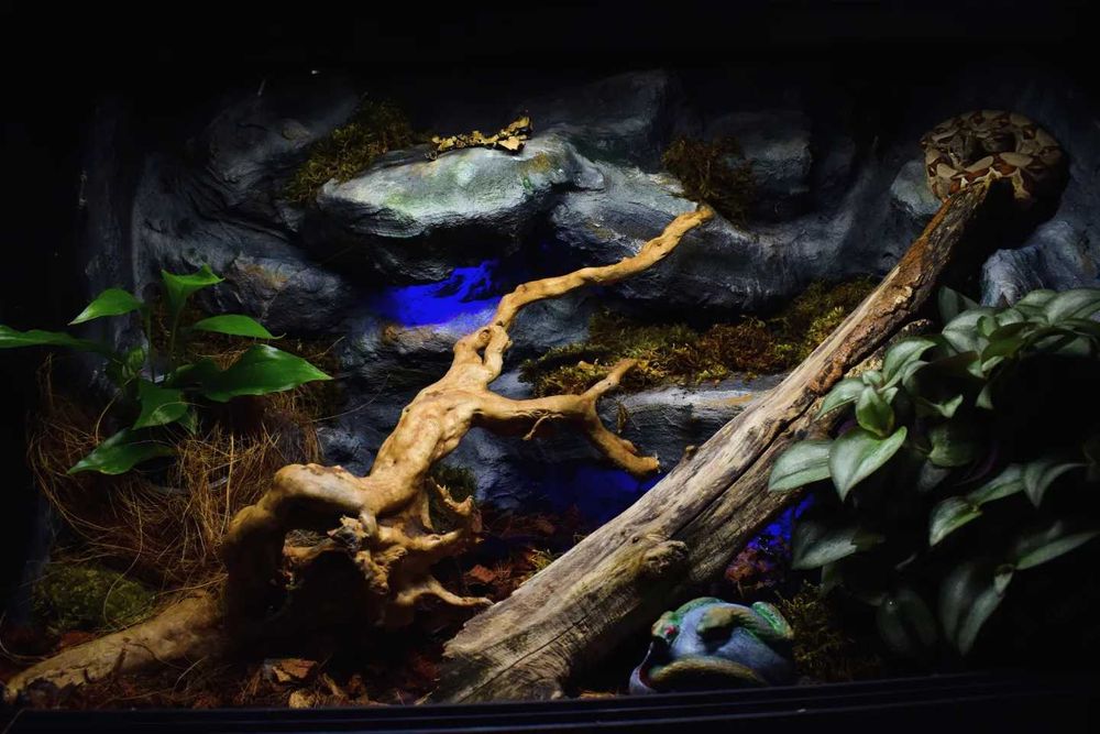 Terrarium na wymiar!