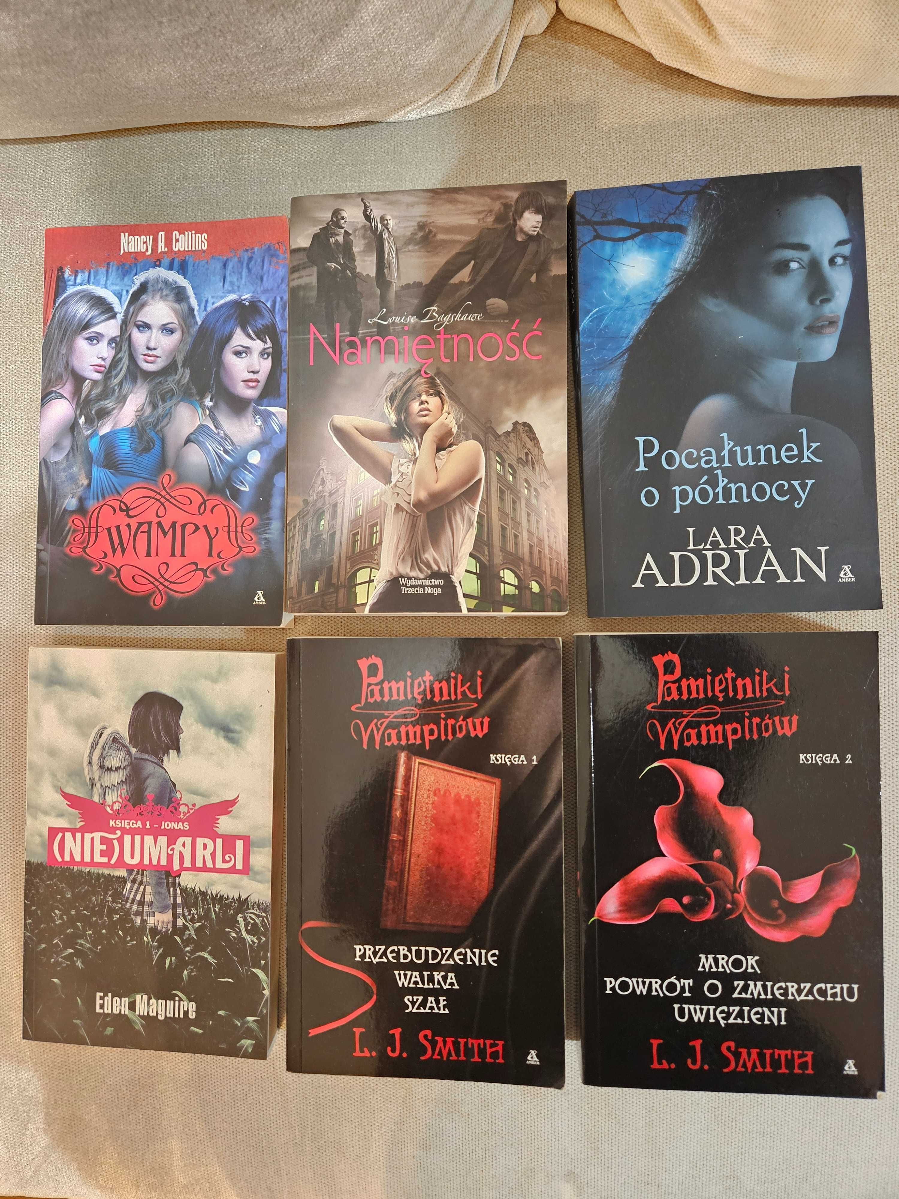 Zestaw książek 16 sztuk fantasy/horror (jak na zdjęciach)