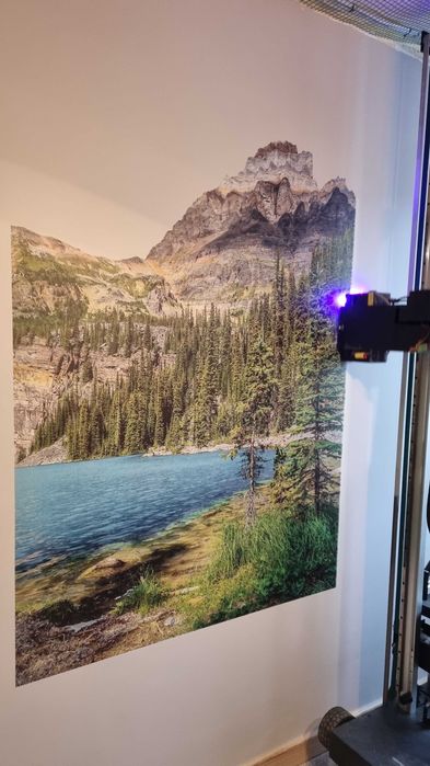 Druk ścienny, fototapety, drukowanie obrazów na ścianie + projekt