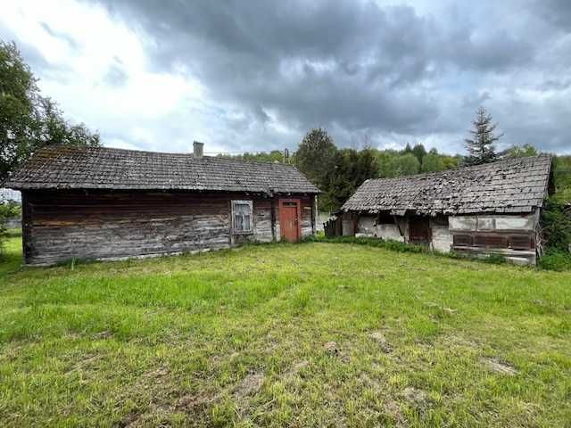 Na sprzedaż działka o powierzchni 1,1345 ha – Jangrot, gm. Trzyciąż