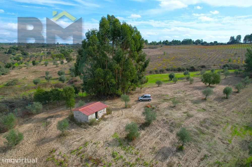 Quinta  Venda em São Miguel de Acha,Idanha-a-Nova