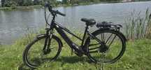 Rower elektryczny Gazelle Sparta Giant Bulls Evo