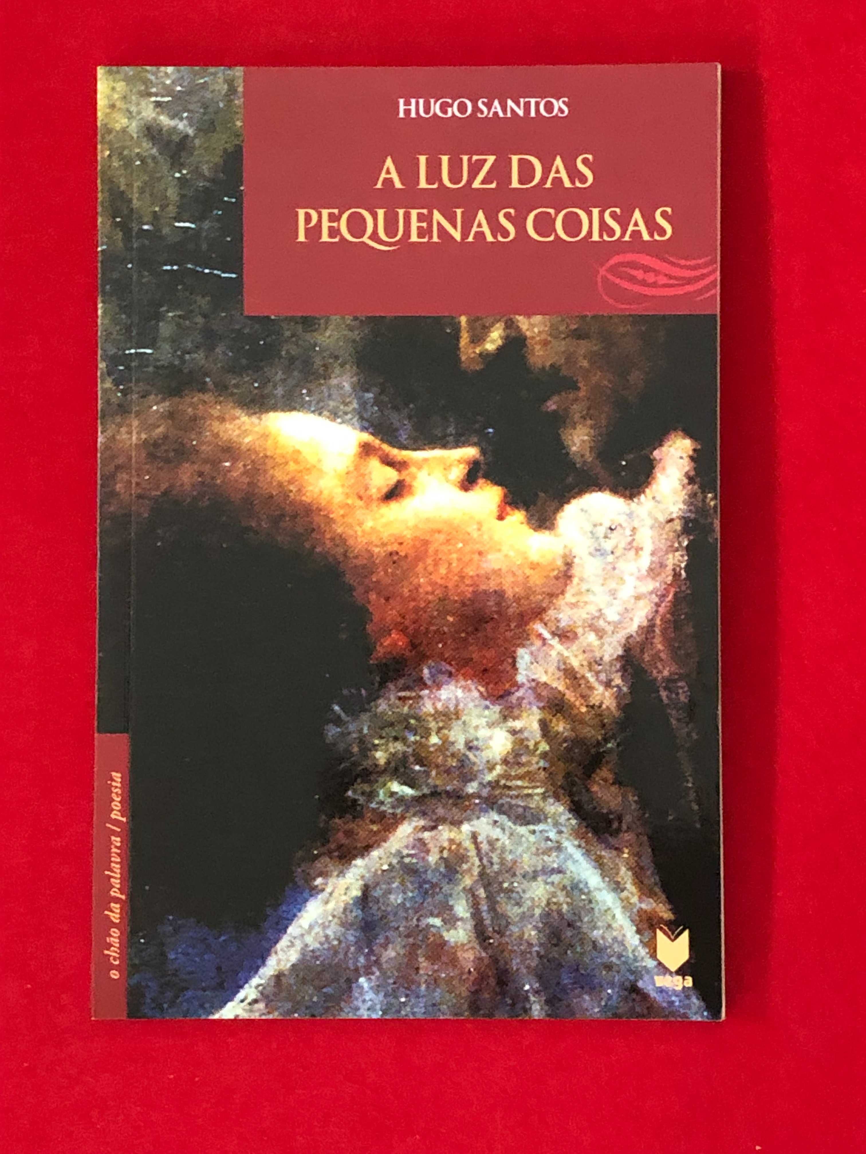 A luz das pequenas coisas - Hugo Santos