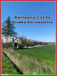Działka w Kalinowicach 1,41 ha.Doskonała oferta!