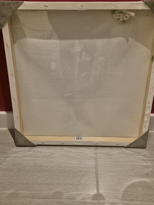 Obraz  Chihuahua  50X50 cm kolorowy