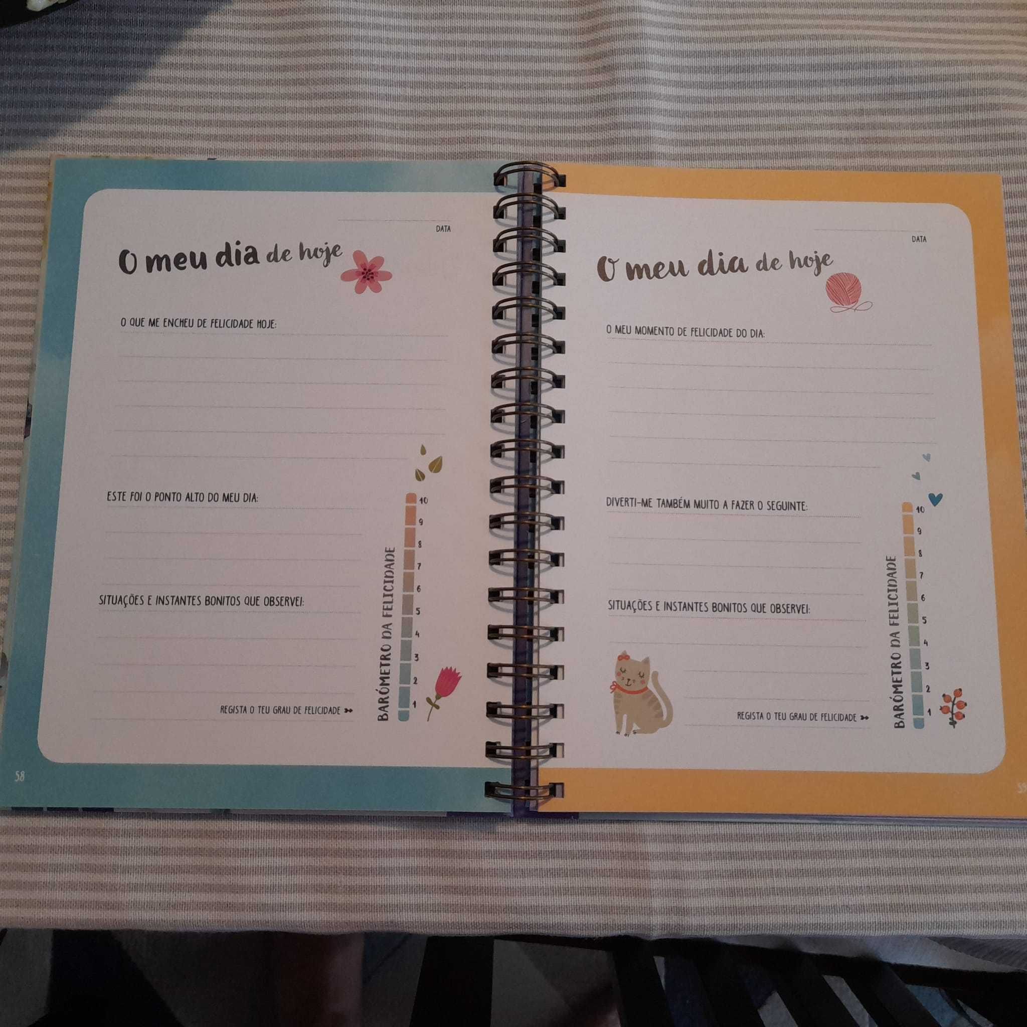 O meu diário da felicidade