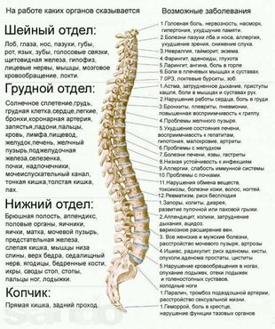 Лечебный массаж, антицелюллитный аппаратный и др