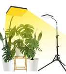 FECiDA LED Grow Light ze stojakiem 200W