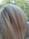 Włosy naturalne clip in europejskie ciepły blond peruka 60cm 70gr nowe