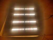 Panel LED do uprawy roślin