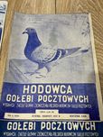 Gołąb Hodowca gołębi pocztowych stara gazeta miesięcznik 1955r.